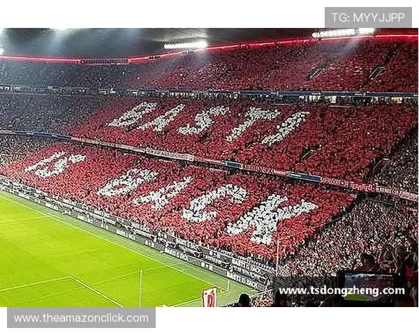 用户热议星空体育下载功能优化，观看体育比赛更加流畅便捷